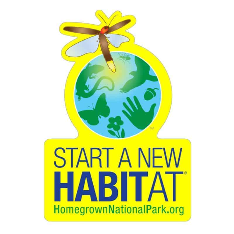 Protecting and restoring habitats to support diverse wildlife, including insects, birds, and reptiles, and encouraging community participation in habitat creation, exemplified by the Homegrown National Park initiative.