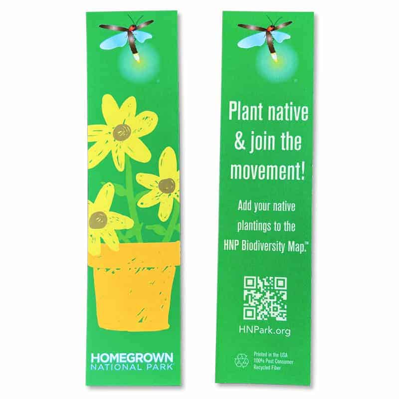 Yellow flowers in a green pot illustration promoting native plantings for Homegrown National Park.