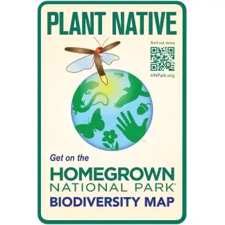 Vibrant illustration of a dragonfly above the Earth, promoting native plant conservation for Homegrown National Park biodiversity efforts.