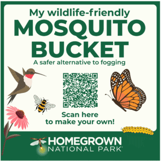 Mosquito bucket educational sign for wildlife-friendly insect control and eco-safety, featuring illustrations of a hummingbird, bee, butterfly, flower, and caterpillar, promoting sustainable pest management; related to conservation efforts at Homegrown National Park.
