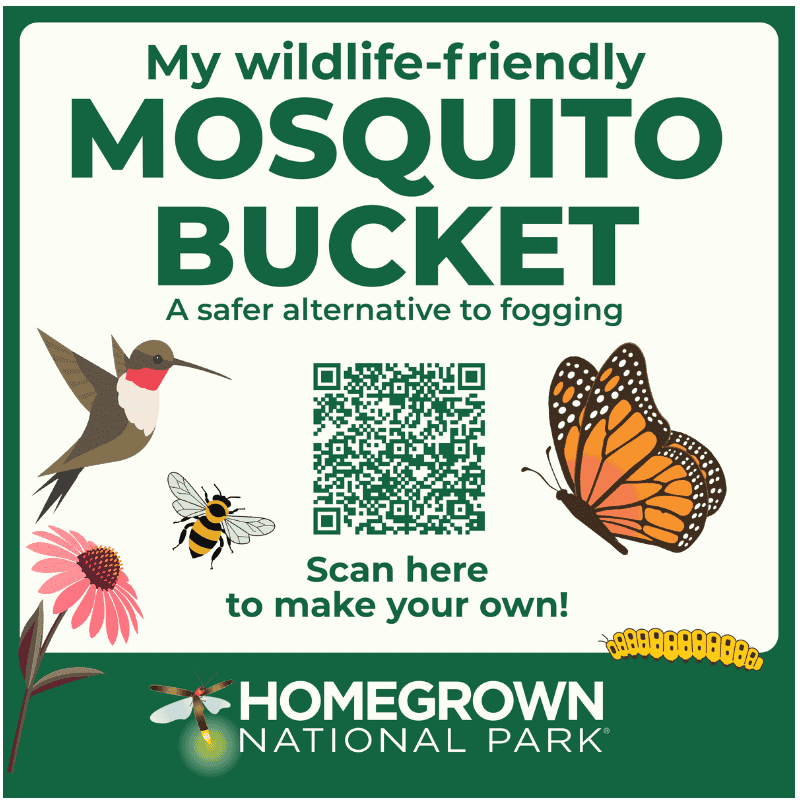 Mosquito bucket educational sign for wildlife-friendly insect control and eco-safety, featuring illustrations of a hummingbird, bee, butterfly, flower, and caterpillar, promoting sustainable pest management; related to conservation efforts at Homegrown National Park.