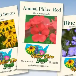 Bright yellow Black-Eyed Susan flowers blooming, native to North America, perfect for gardeners aiming to support local ecosystems and attract pollinators.