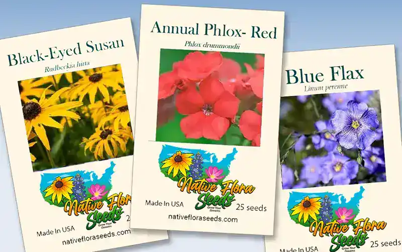 Bright yellow Black-Eyed Susan flowers blooming, native to North America, perfect for gardeners aiming to support local ecosystems and attract pollinators.